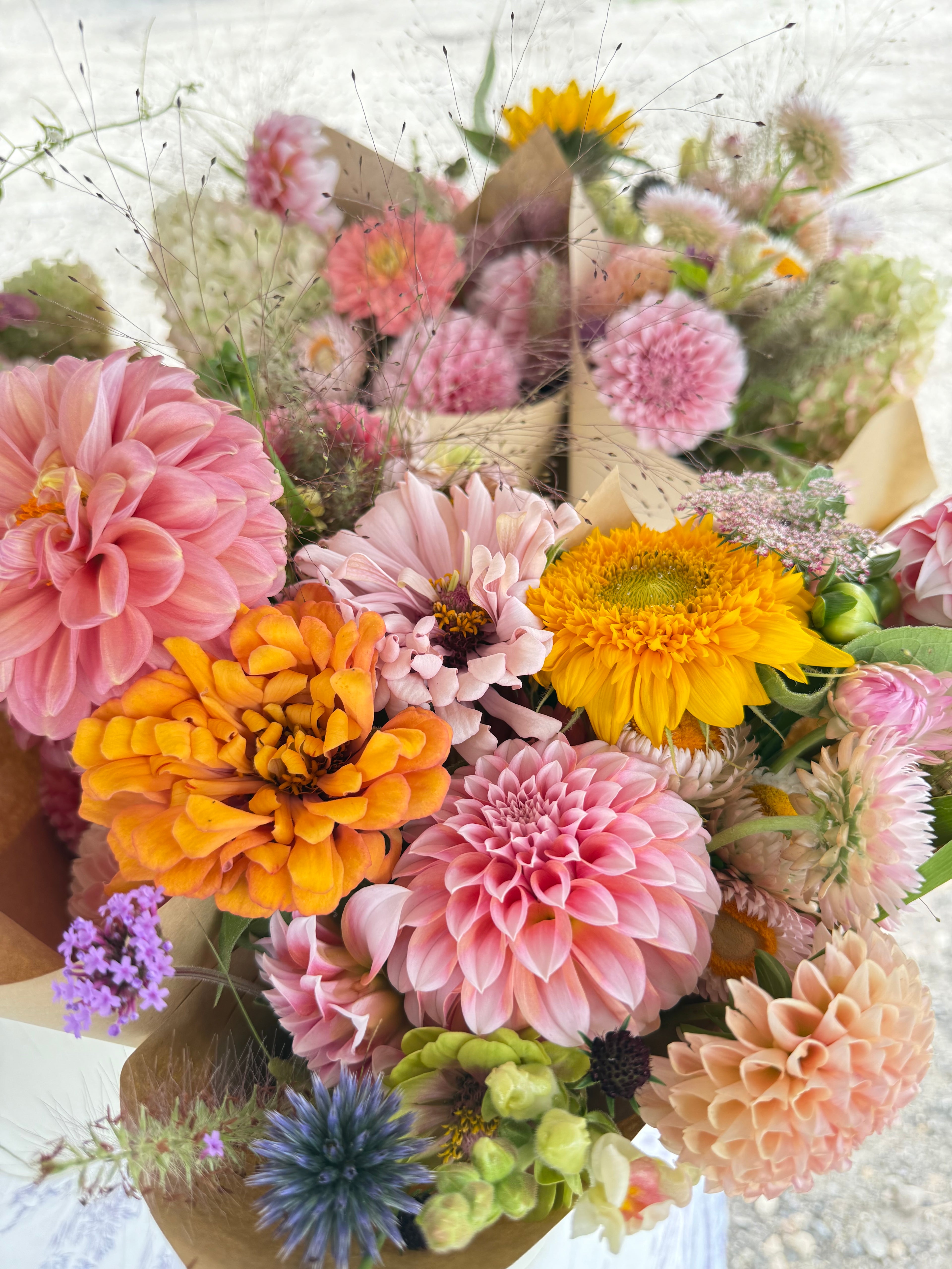 August Flower Subscription 2026