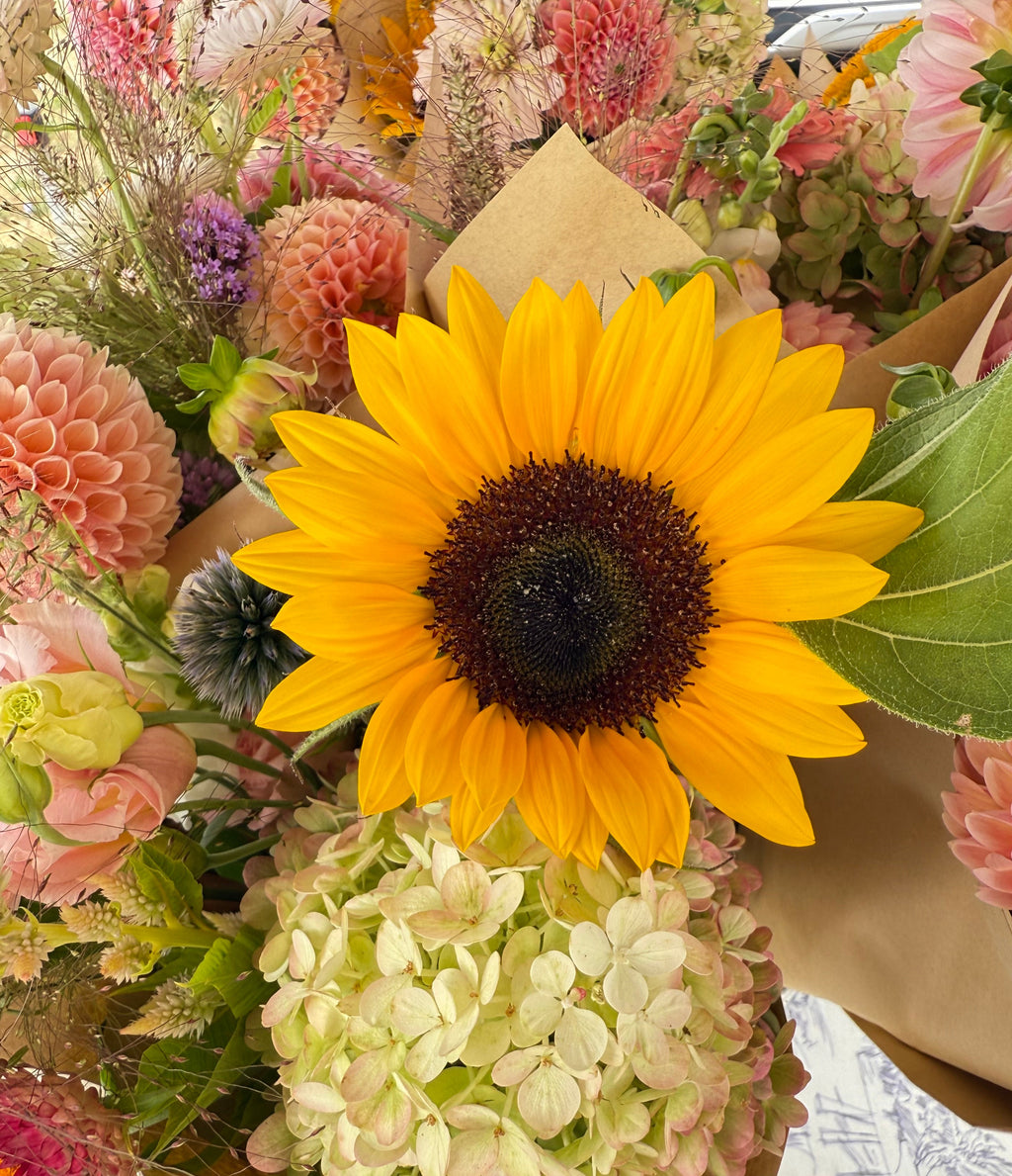 August Flower Subscription 2026