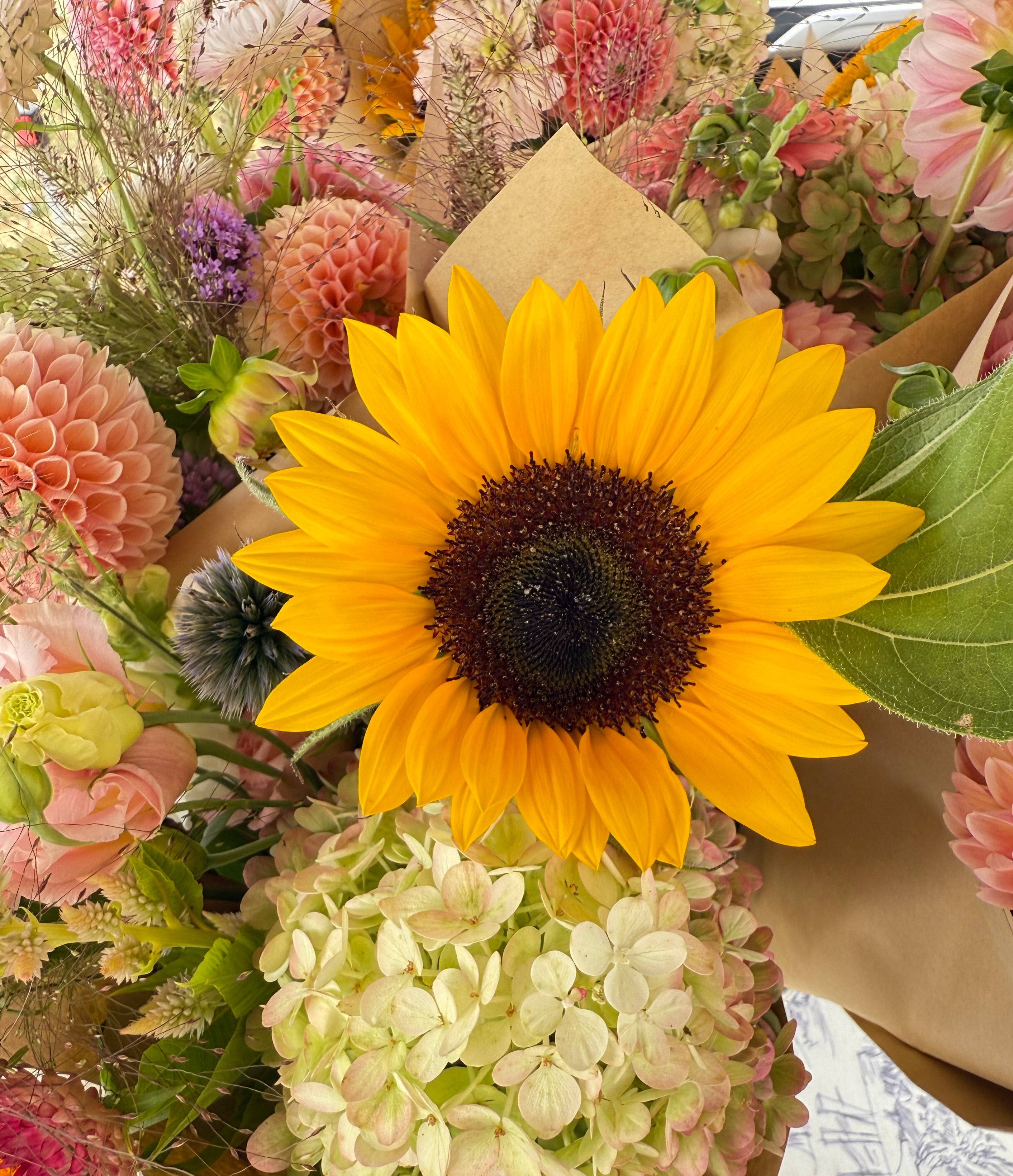 August Flower Subscription 2026
