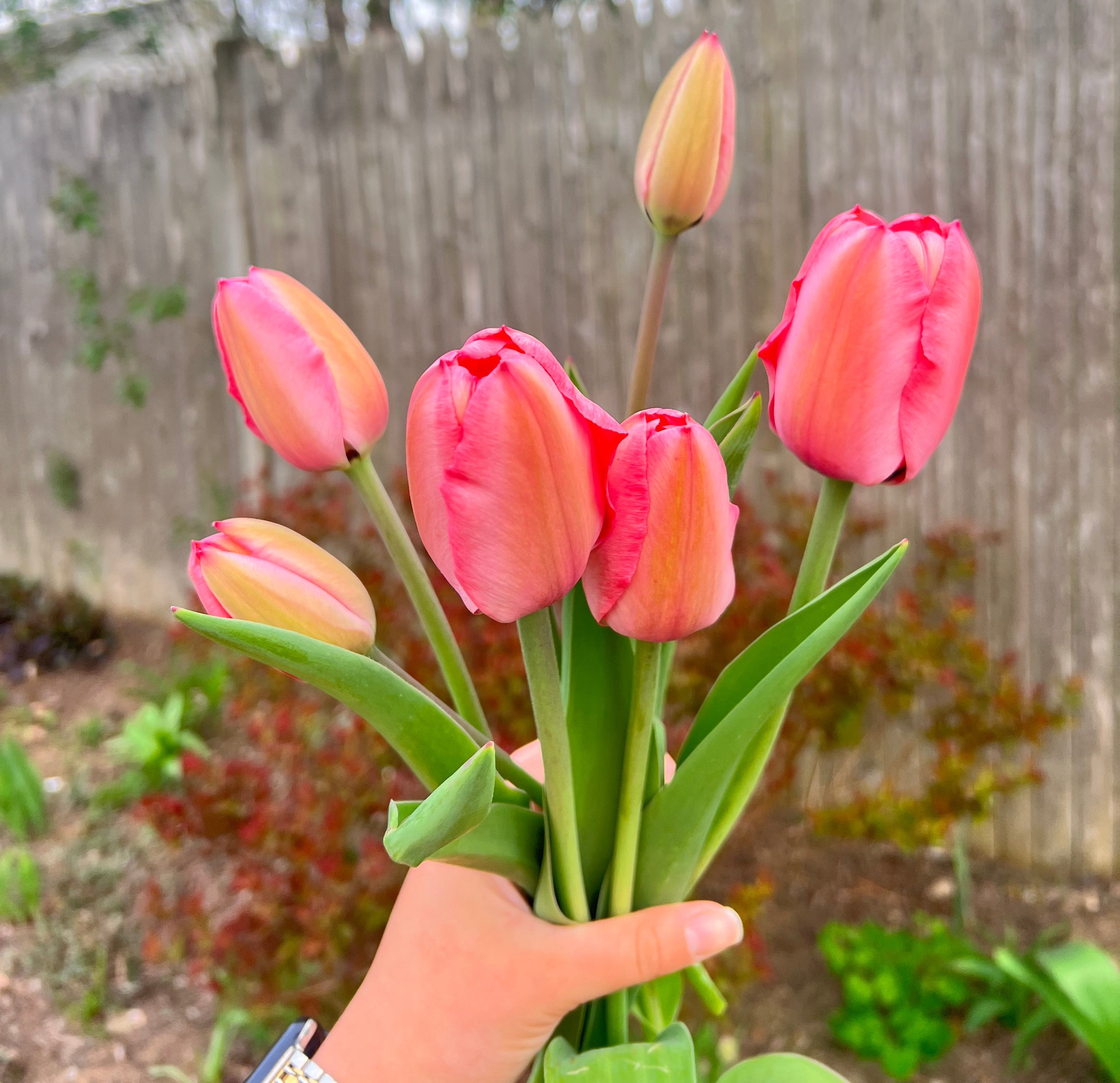 Spring Floral Subscription 2026