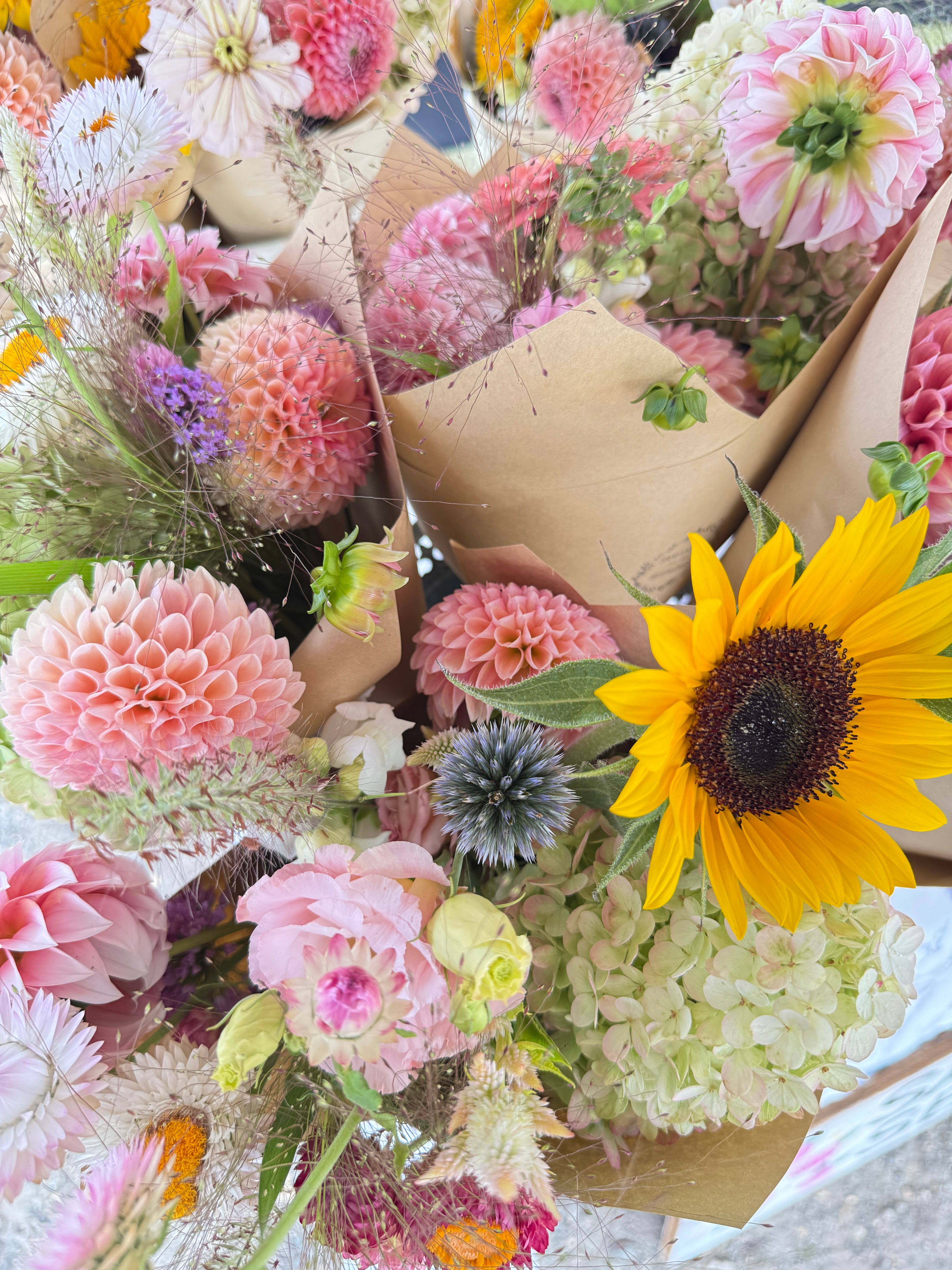 August Flower Subscription 2026